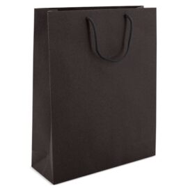 Bolsa de cartoncillo  asa loopse "alexia"