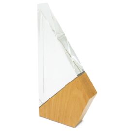 Trofeo modelo "vela"