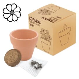 Maceta terracota cosmos"floral"
