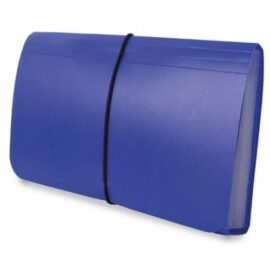 Carpeta clasificadora recibos