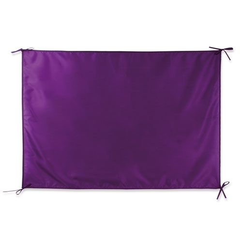 Bandera fiesta "región"