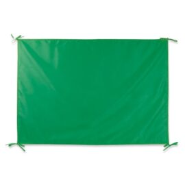 Bandera fiesta "región"