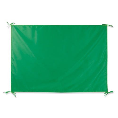 Bandera fiesta "región"