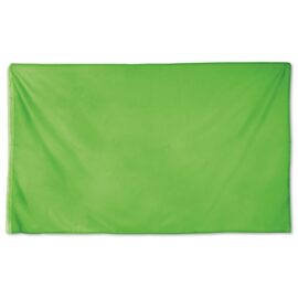 Bandera fiesta "drac"