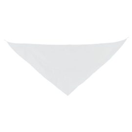 Pañoleta triangular "fermín"