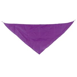 Pañoleta triangular "fermín"