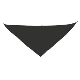 Pañoleta triangular "fermín"