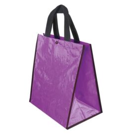 Bolsa brillo "juno"