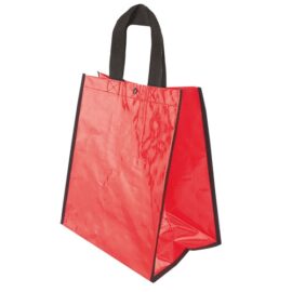 Bolsa brillo "juno"