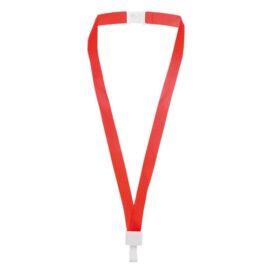 Lanyard office "security"