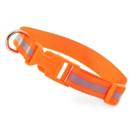 Collar reflectante "animal"