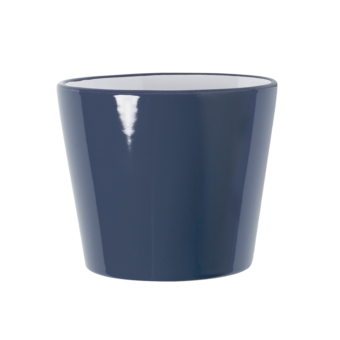 🟢 Taza Kario - Imagen 4