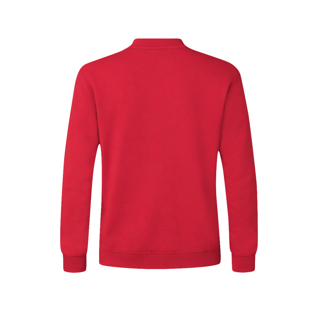 🟢 Sudadera Adulto Sendex - Imagen 2