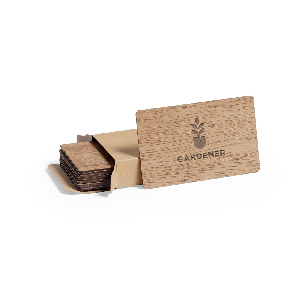 Set Tarjetas Inary - Imagen 2