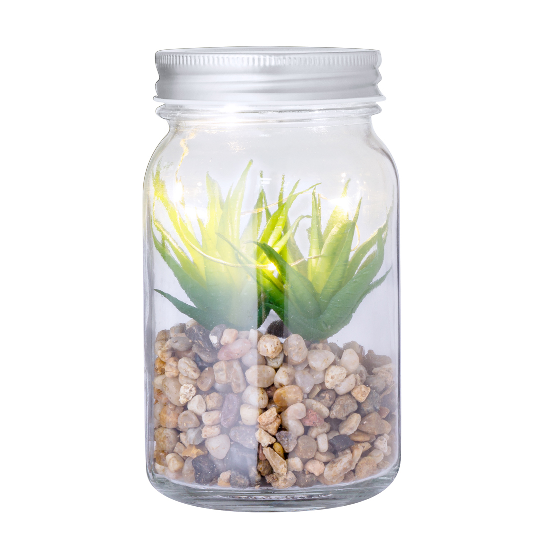 🟢 Planta Decorativa Kyala - Imagen 2