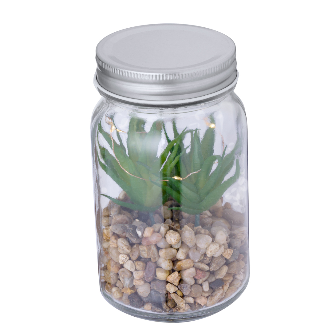 🟢 Planta Decorativa Kyala - Imagen 3
