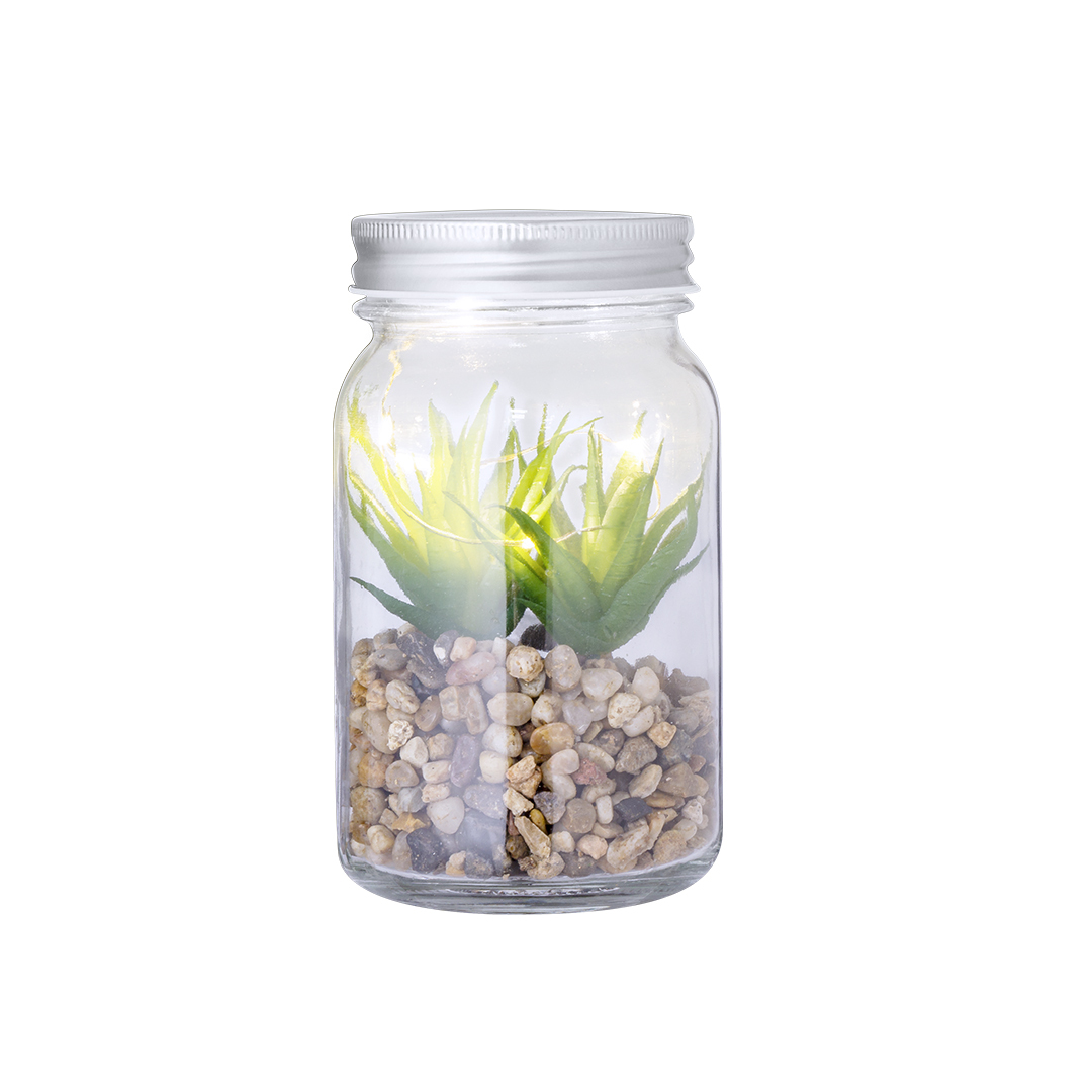 🟢 Planta Decorativa Kyala