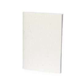 🟢 Libreta Semillas Derna