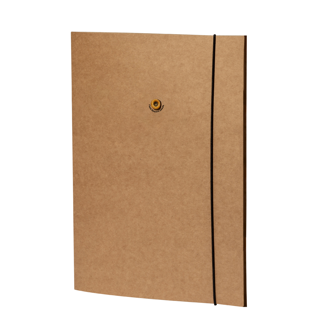 🟢 Carpeta Semillas Hakala - Imagen 2