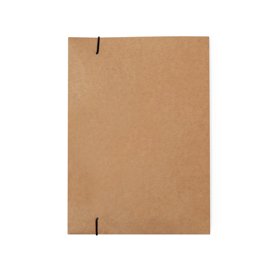 🟢 Carpeta Semillas Hakala - Imagen 3