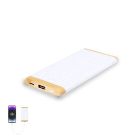 🟢 Power Bank Coquin