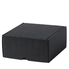 🟢 Caja Presentación Steffon