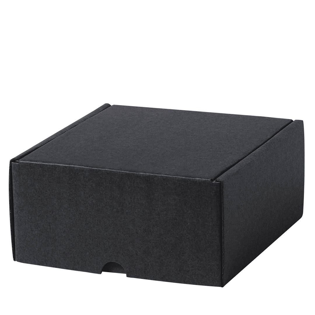 🟢 Caja Presentación Steffon