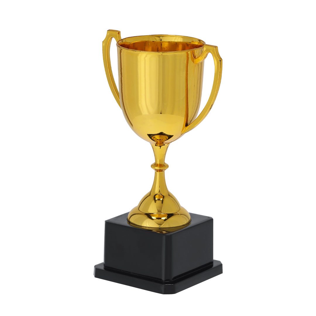 🟢 Trofeo Nynor - Imagen 2