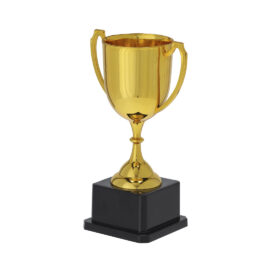 🟢 Trofeo Nynor