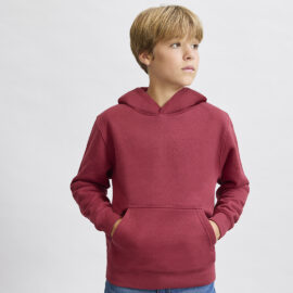 🟢 Sudadera Niño Draco