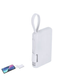 🟢 Power Bank Brandin