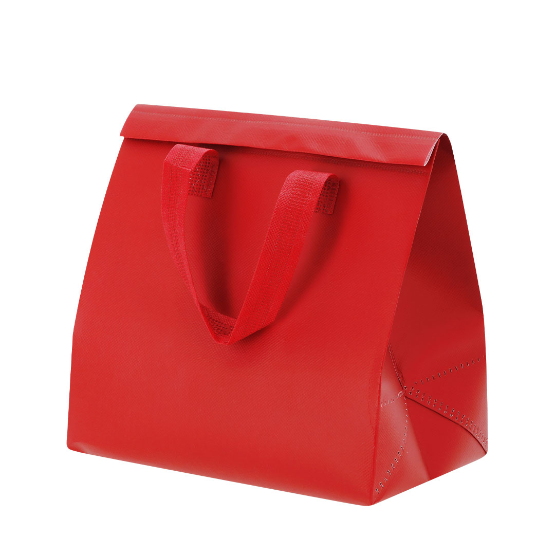 🟢 Bolsa Nevera Luzan - Imagen 2