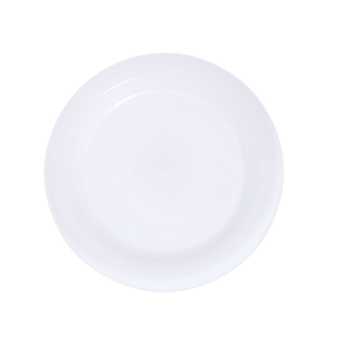 🟢 Plato Grisen - Imagen 3