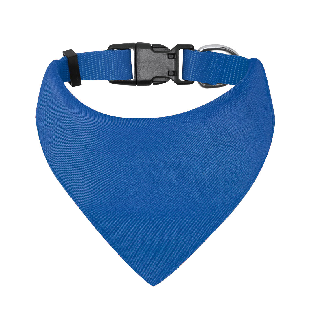 🟢 Collar Bandana Roco - Imagen 2