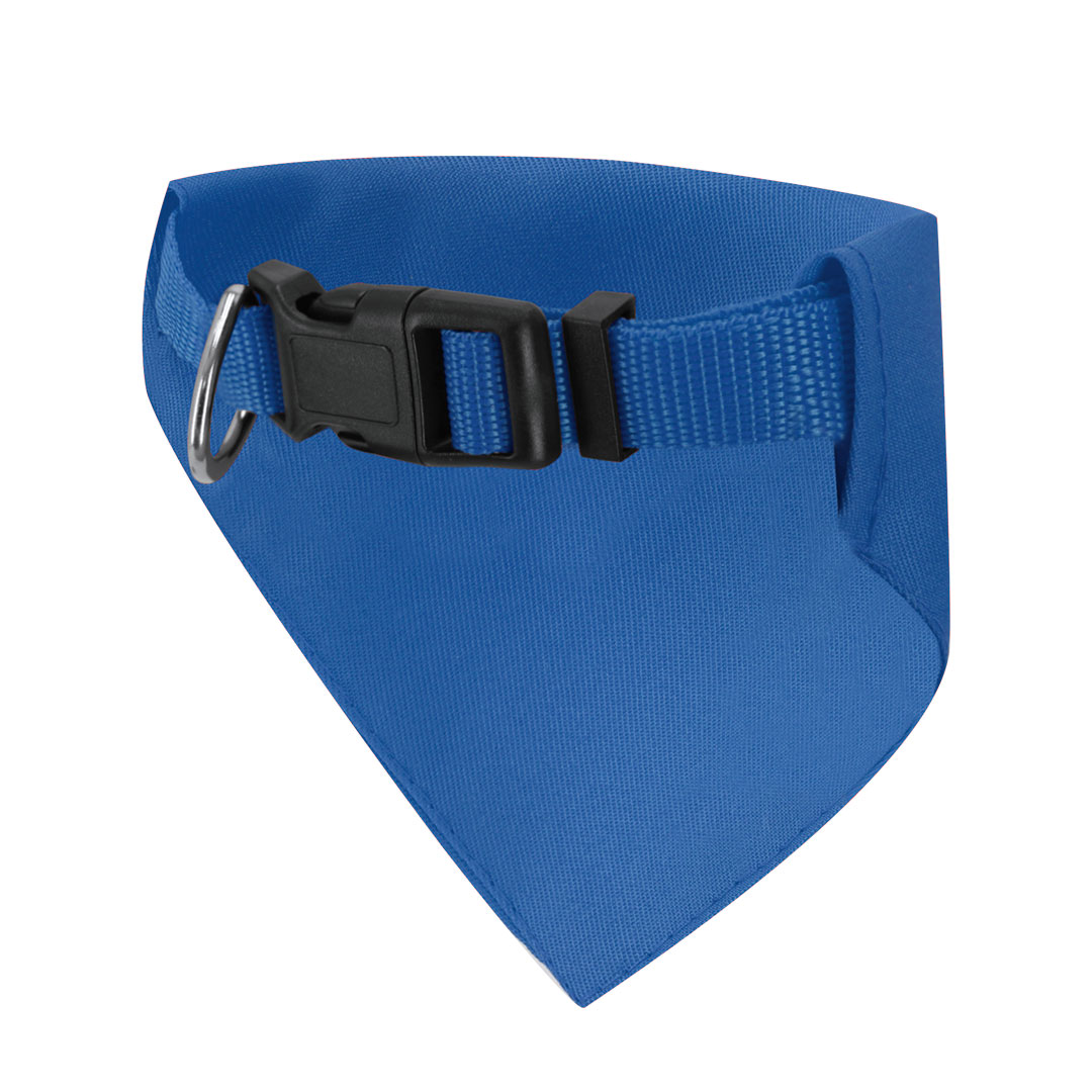 🟢 Collar Bandana Roco - Imagen 3
