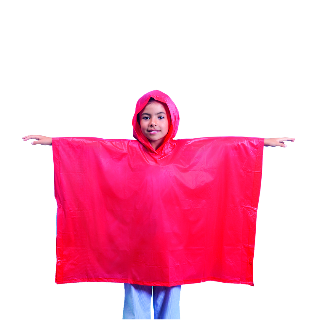 🟢 Poncho Teo - Imagen 2