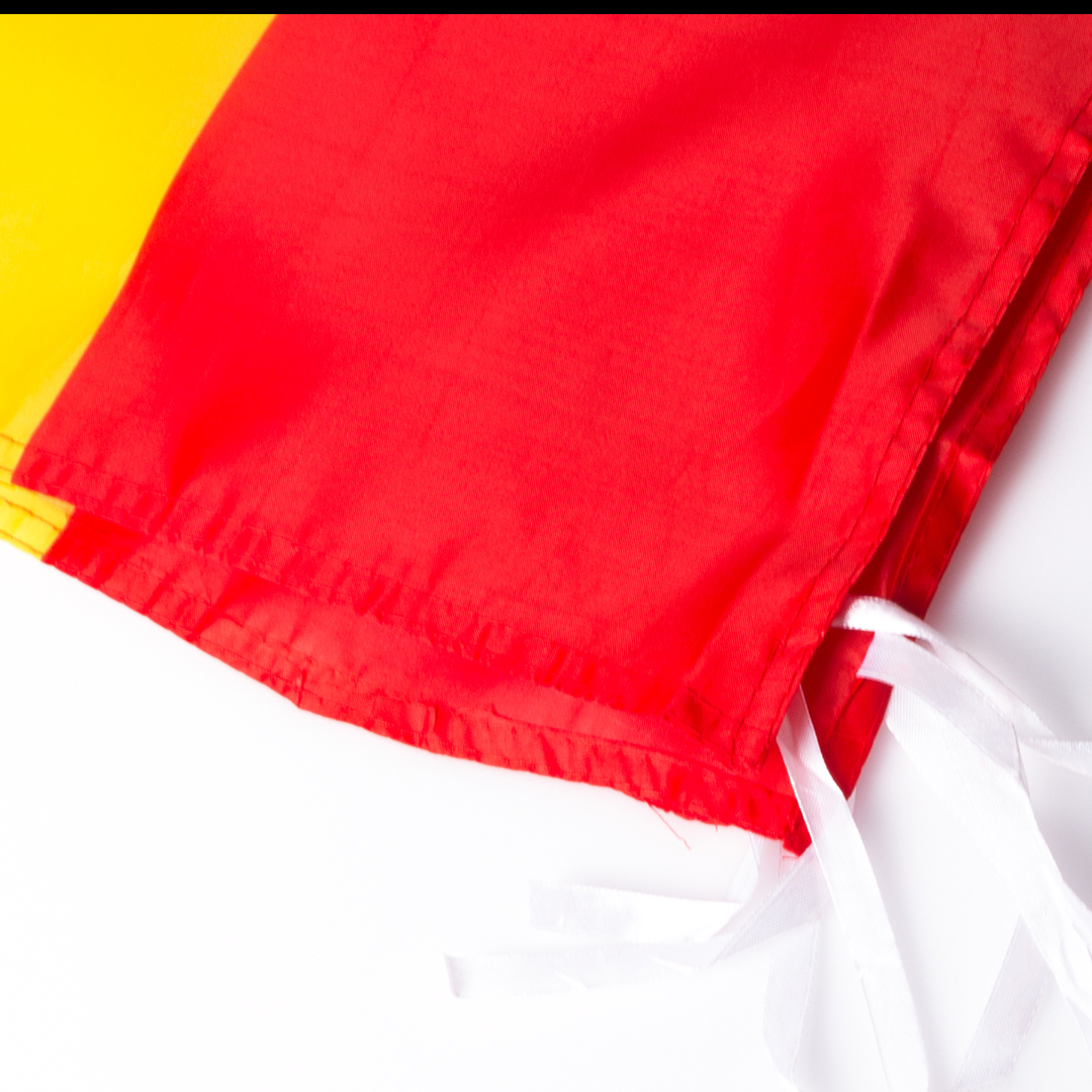 🟢 Bandera Caser - Imagen 3
