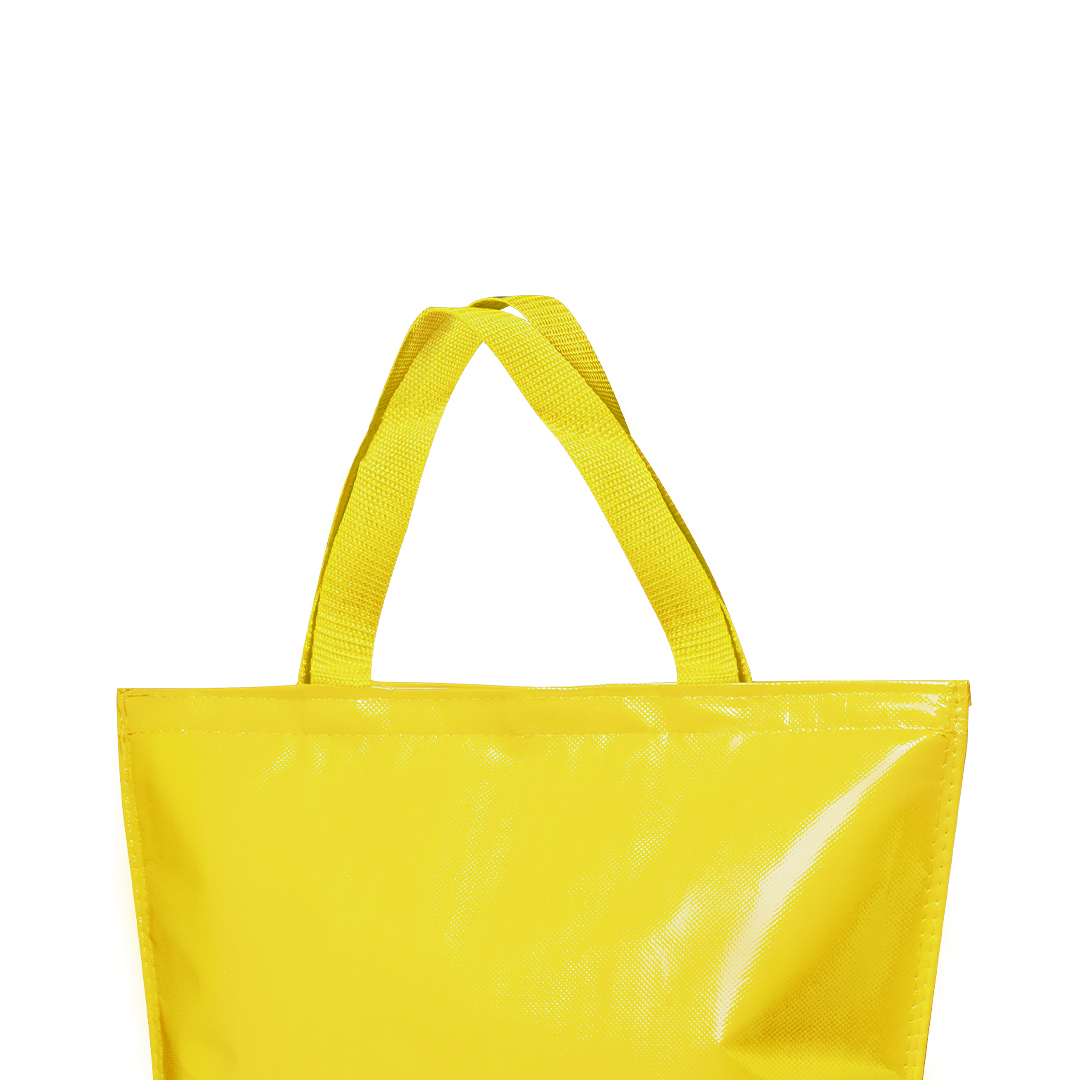 🟢 Bolsa Nevera Hobart - Imagen 4