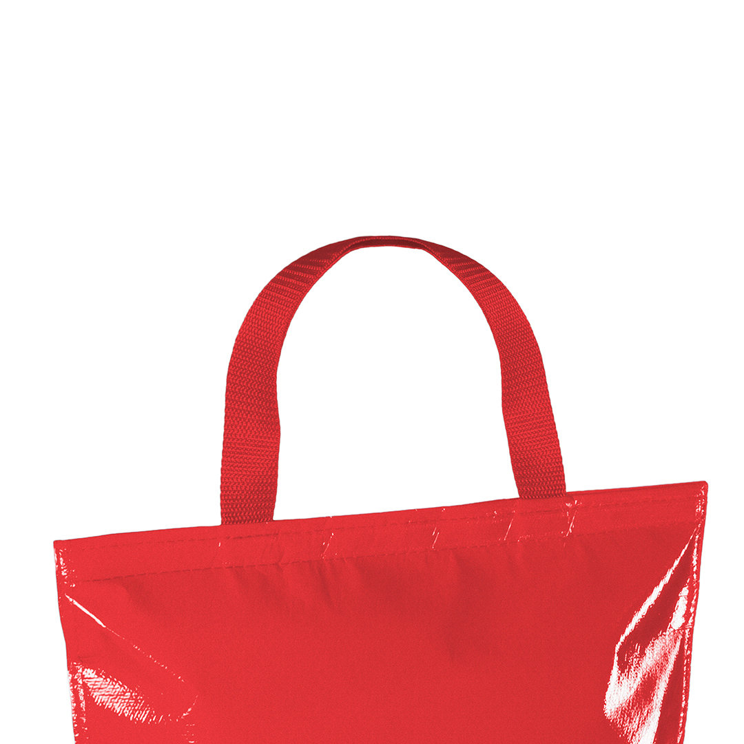 🟢 Bolsa Nevera Hobart - Imagen 2