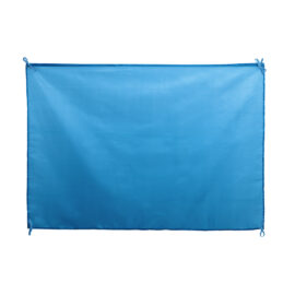 🟢 Bandera Dambor