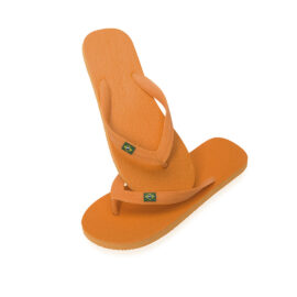 🟢 Chanclas Brasileira
